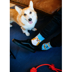 Calzini spaiati Playful Dog | Many Mornings 2