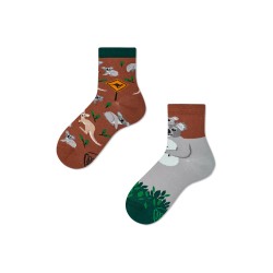 Calzini bimbo spaiati con koala | Many Mornings