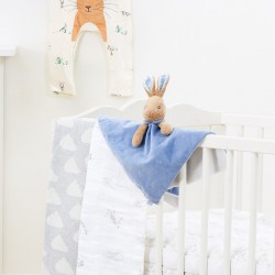 Doudou Peter Rabbit azzurro 2