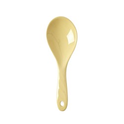 Cucchiaio grande giallo da insalata