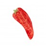 Fermaglio per capelli Peperoncino | Coucou Suzette