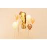 Palloncino compleanno numero 1 | Gallinasmilza